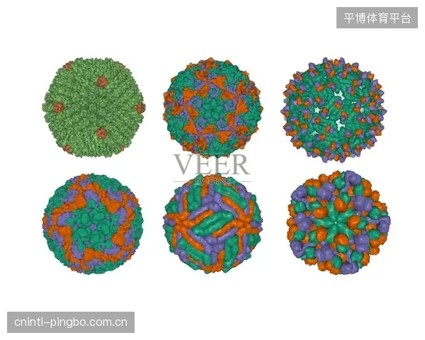 主力边卫因伤缺席，澳大利亚队右路防守回收将面临结构性难题。
